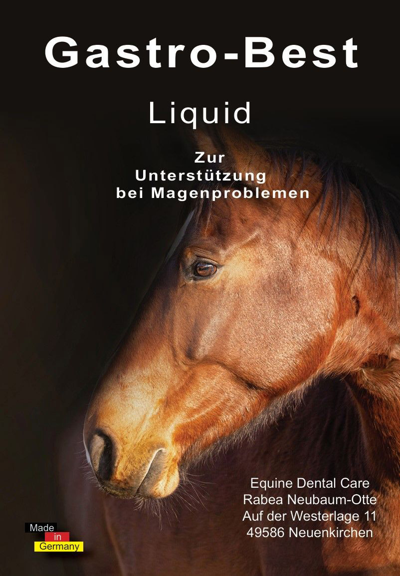 Gastro No.1 Liquid - 1000ml