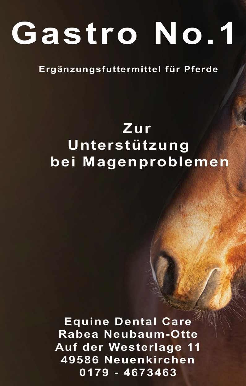 Gastro No.1 - 3 kg Eimer