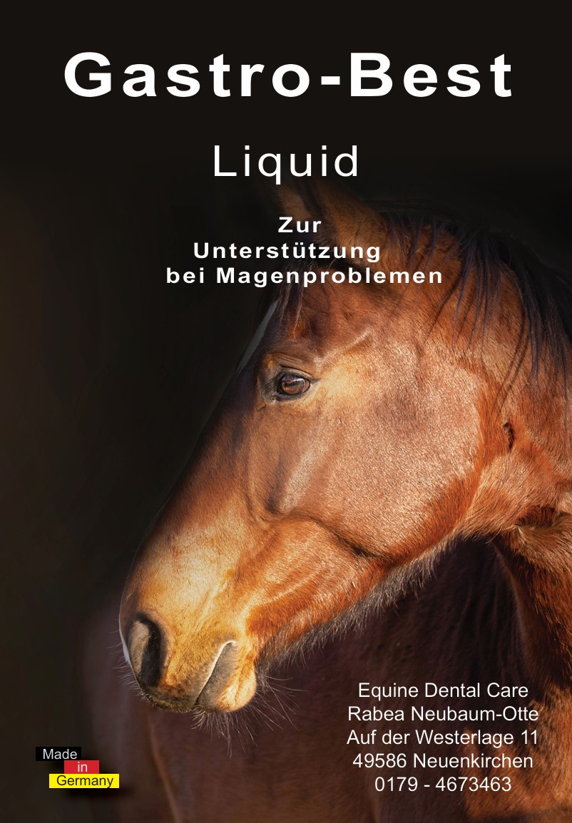 Gastro No.1 Liquid - 1000ml